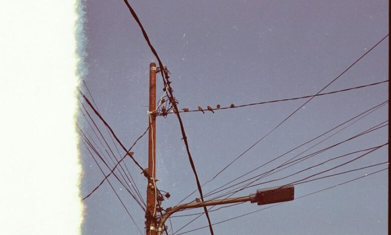 customer support phone number