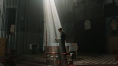 investment myths debunked today