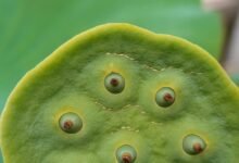 promising stocks for 2025