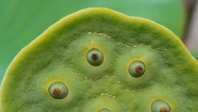 promising stocks for 2025