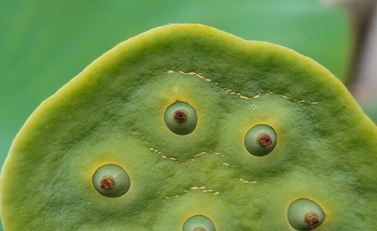 promising stocks for 2025