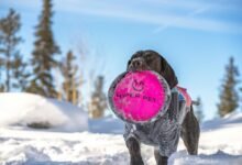 apex flow 943205753 hyper node