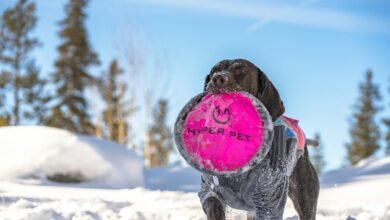 apex flow 943205753 hyper node