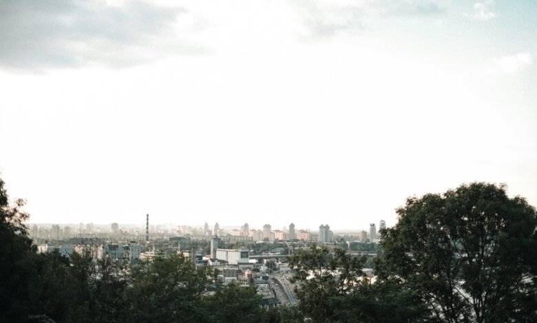 bold expansion market advantage