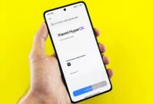 important update phone number details