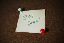 public safety notes 18778169063 alerts