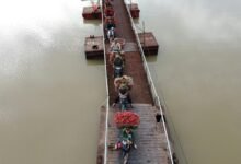 quantum bridge market flow