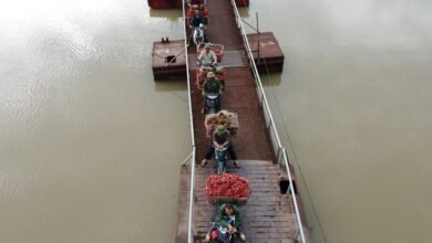 quantum bridge market flow