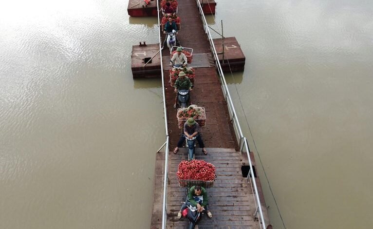 quantum bridge market flow