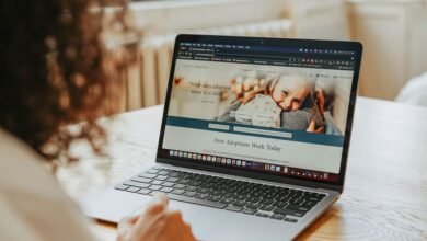 everything about flimyjila com a comprehensive guide