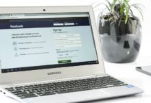 tomoson login essentials highlights